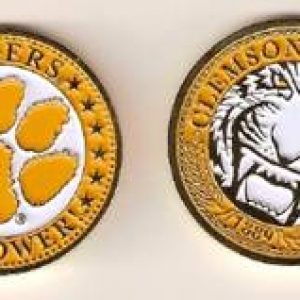 clemsonpaintedcoin