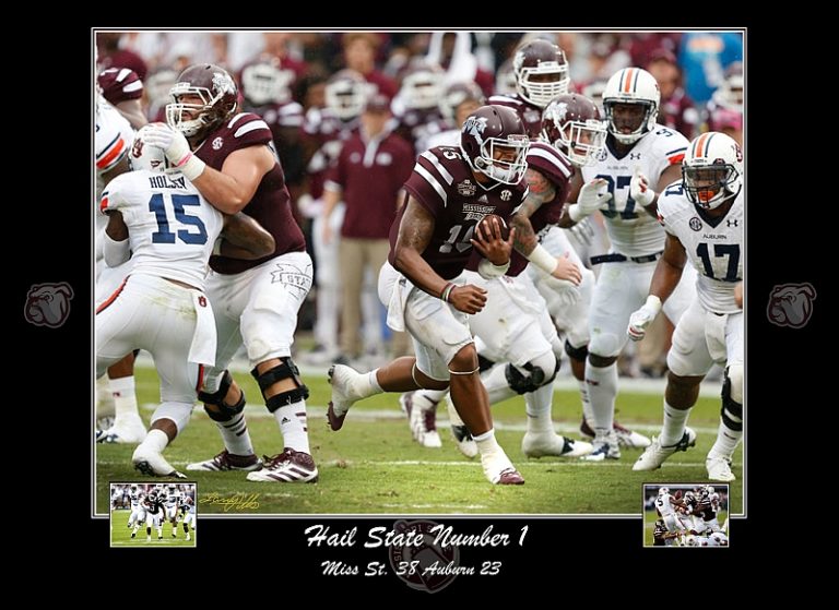 hail state number 1 print