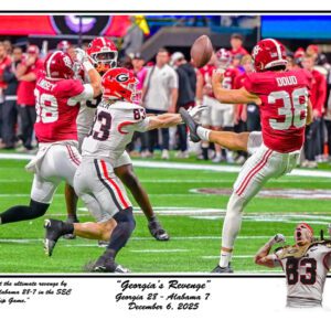 Georgia's Revenge print