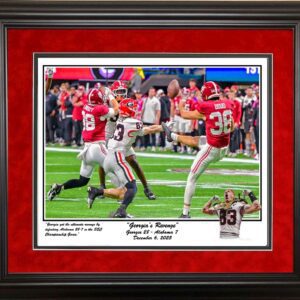 Georgia's Revenge framed print